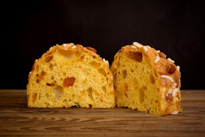 Panettone Albicocca